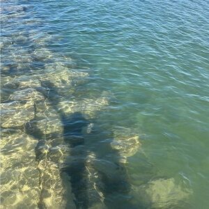 Meet your Posher, Star 🪐🤎